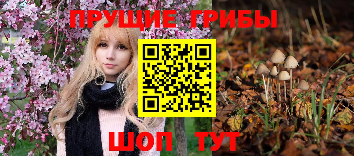 Галлюциногенные грибы прущие грибы Михайловка