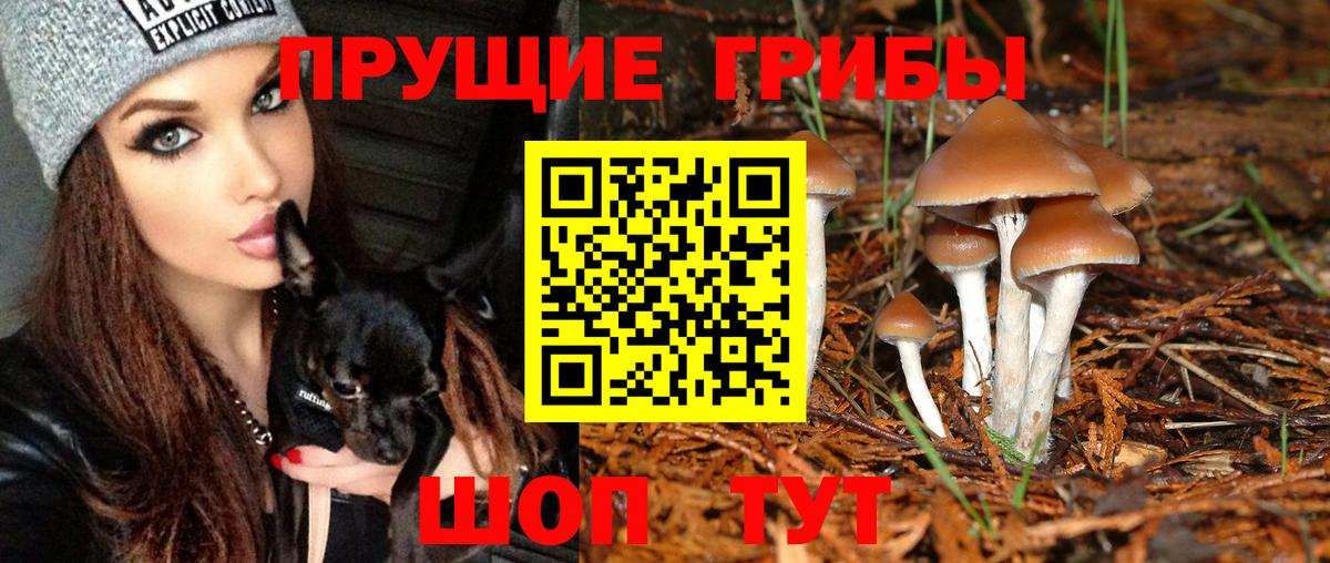 Псилоцибиновые грибы мухоморы  Вход с VPN  Михайловка 